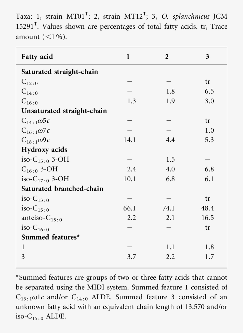 Cellular Fatty Acid Compositions Of Strain Mt01 T , - Central Nervous System, transparent png download