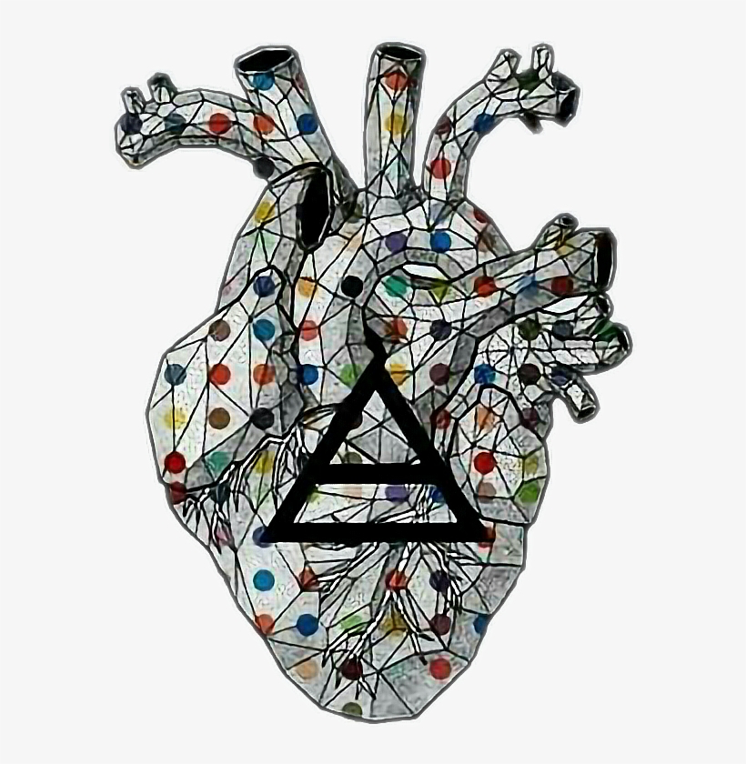 Report Abuse - Thirty Seconds To Mars, transparent png download