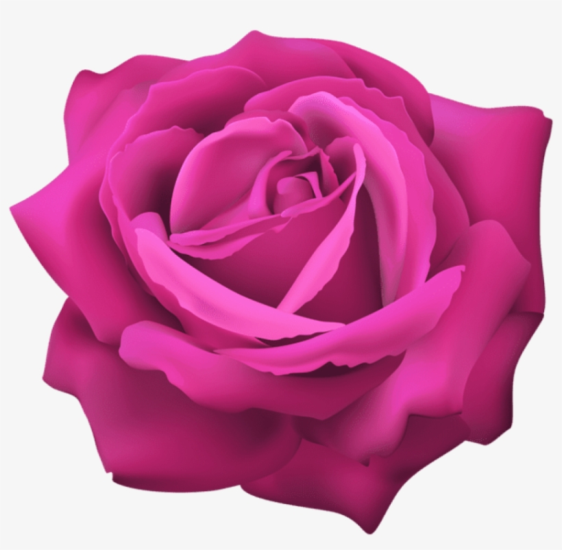 Download Pink Rose Flower Png Free Png Images Toppng - Clip Art ...