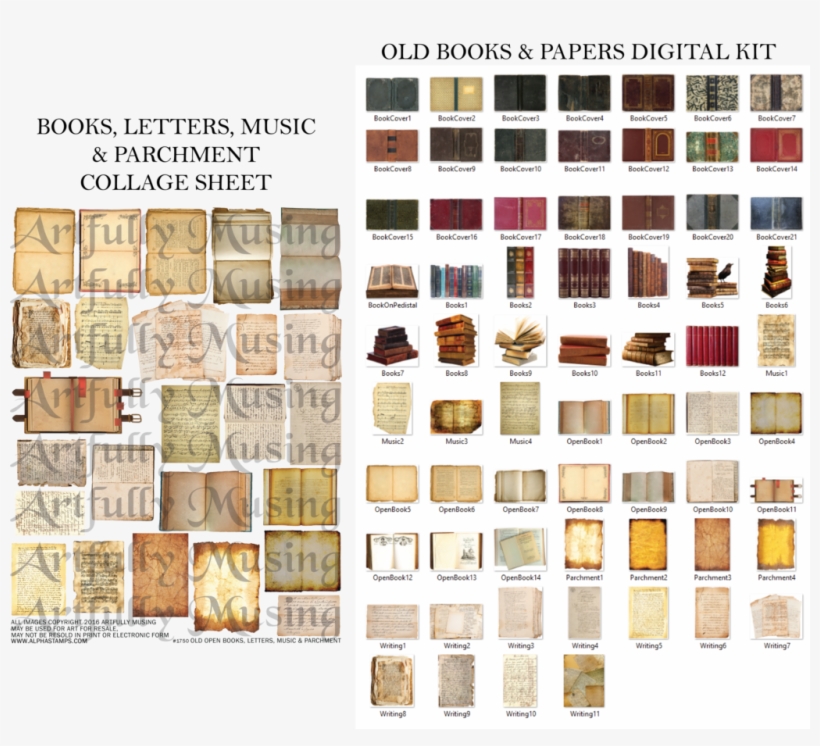 Other Videos In This Series - Book, transparent png download