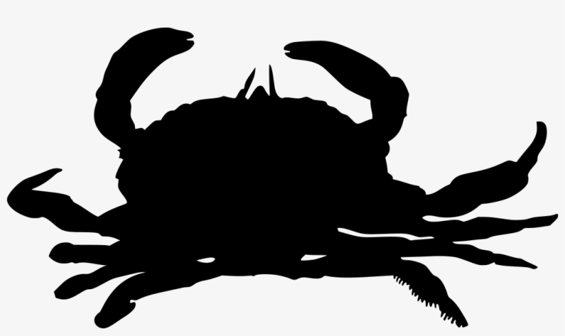 Download Png - Crab Clipart Png, transparent png download