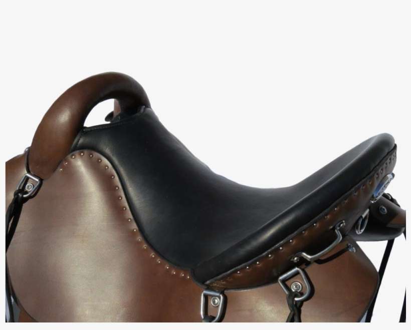 Endurancebackangle Enduancewestern Endurancewesternside - Saddle, transparent png download