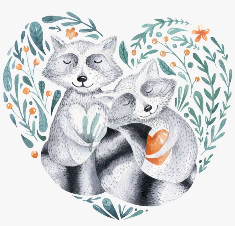 Cute Animal Grey Fox - Watercolour Drawings Of Animals Cute, transparent png download