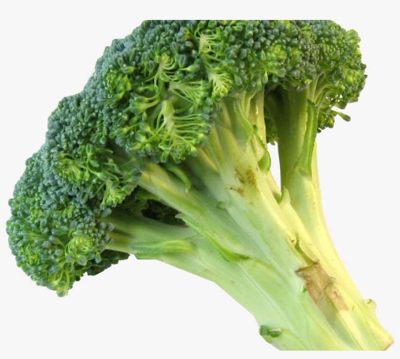 Fresh Broccoli Png Image - Fresh Broccoli Png, transparent png download