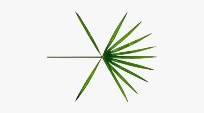 Exo Kokobop Logo Png - Exo The War Logo Png, transparent png download