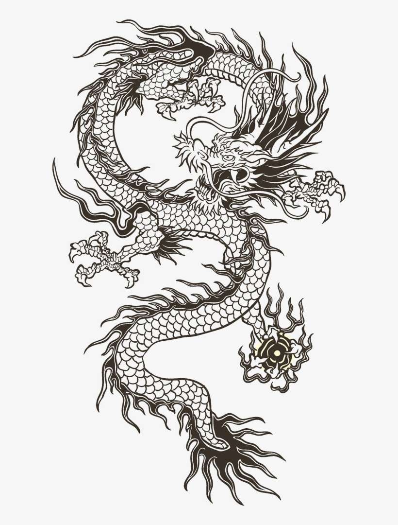 Chinese Illustration Transprent Png - Chinese Dragon Black And White, transparent png download