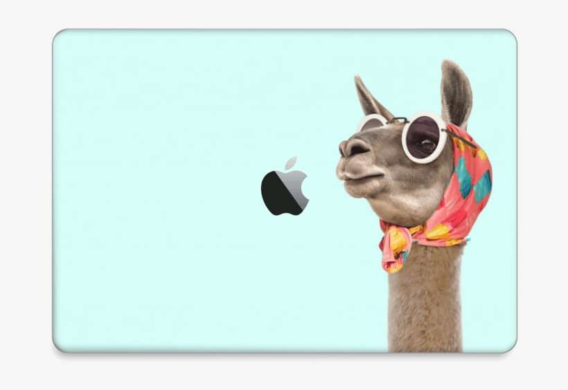 Fashion Llama - Fancy Llama, transparent png download