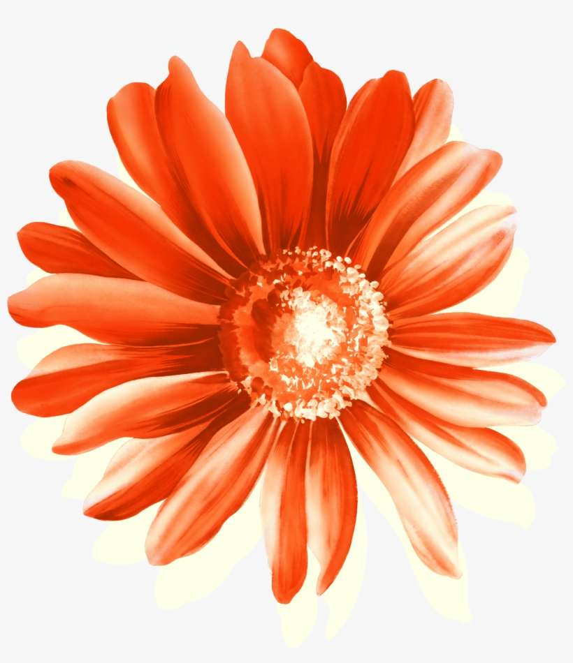 Clipart Free Download Cottage Garden Flowers Red - La Casa De Las Flores Png, transparent png download