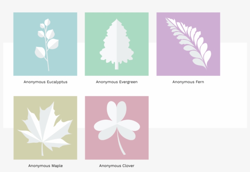 Google Docs Photos-01 - African Daisy, transparent png download