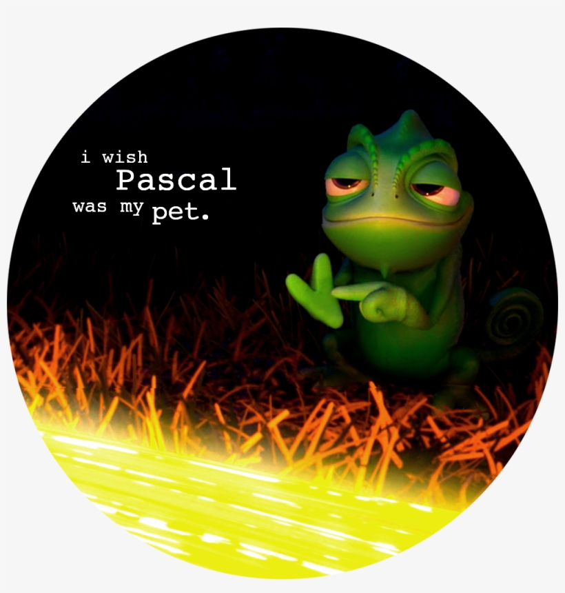Tangled Tangled Confessions Pascal Tangled Pascal Pet - Tangled Healing Incantation, transparent png download