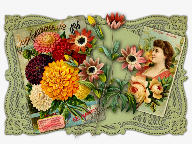 This Calendar Featured Collages Using Covers From Old - Giclee Painting: John Gardiner And Co. 1896: Dahlias,, transparent png download