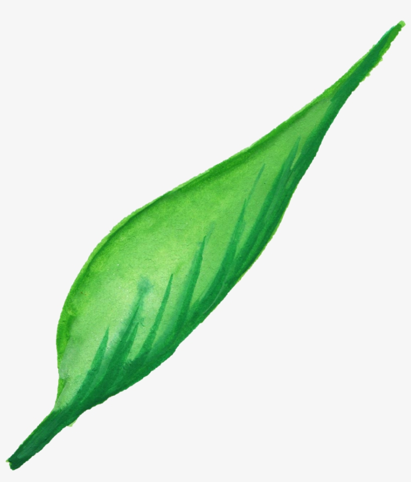 Watercolor Painting, transparent png download
