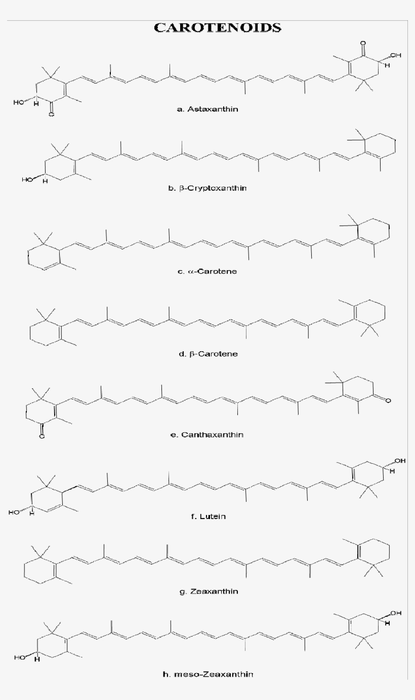 Chemical Structure Of The Main Carotenoids Found In - Handwriting, transparent png download