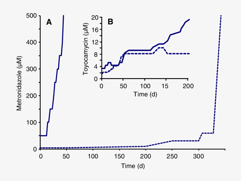 In Vitro Development Of Metronidazole And Toyocamycin - Trichomonas Vaginalis, transparent png download