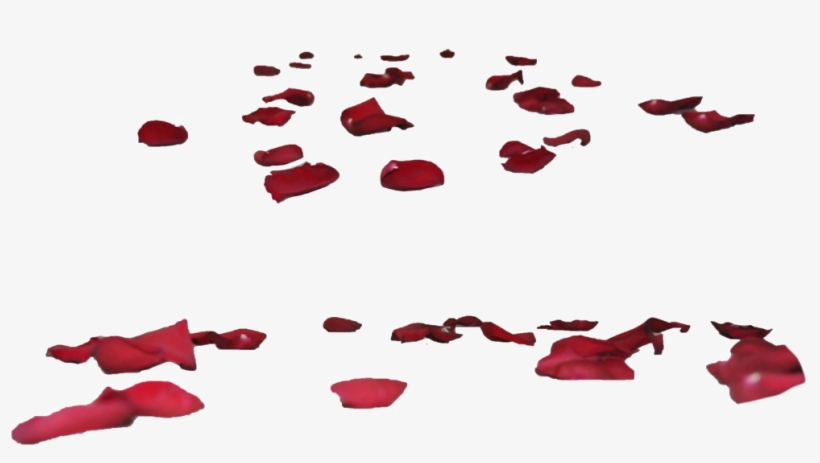 Rose Petals Transparent Images - Rose Petals Ground Png, transparent png download