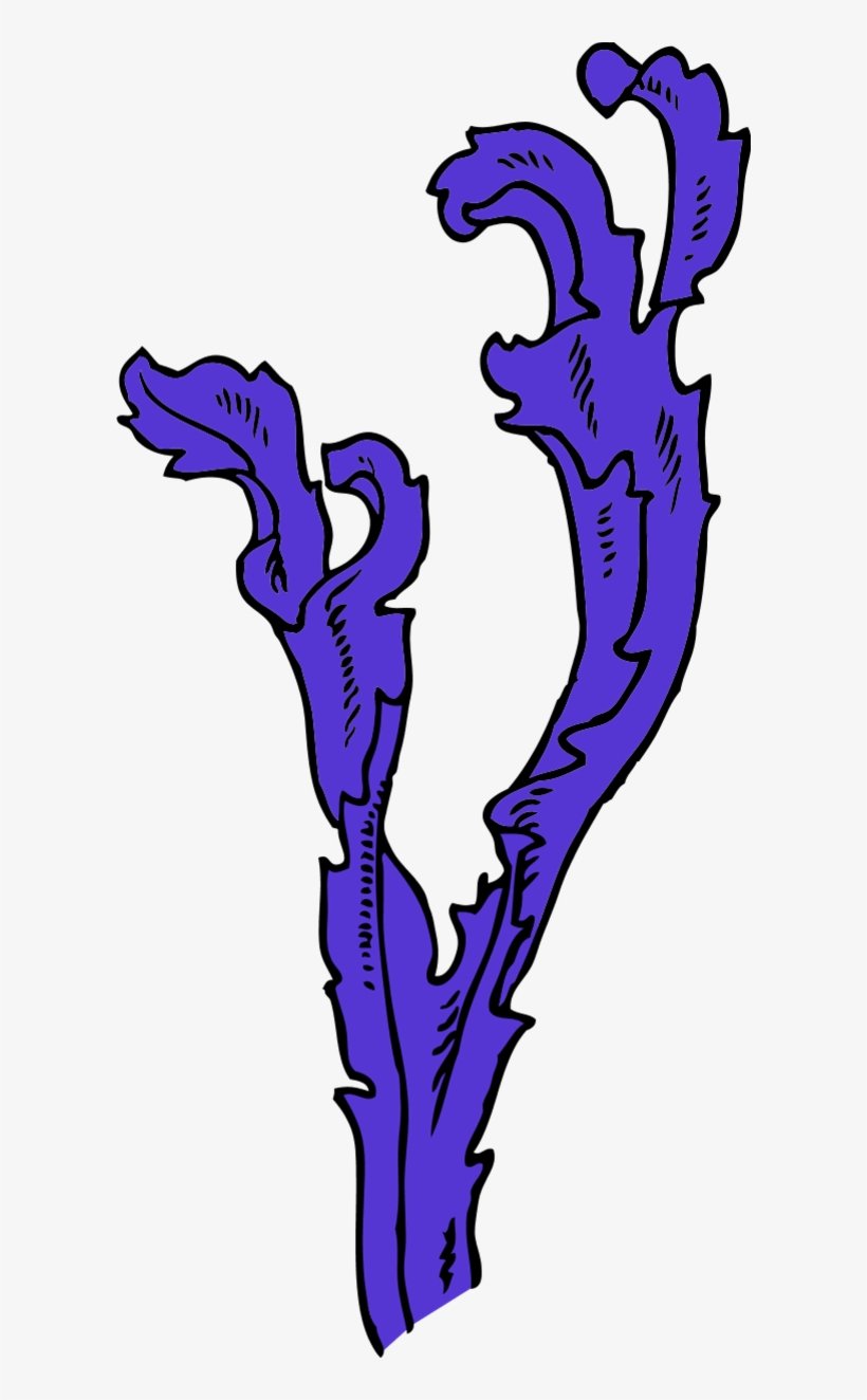 Picture Black And White Stock Best - Purple Seaweed Png, transparent png download
