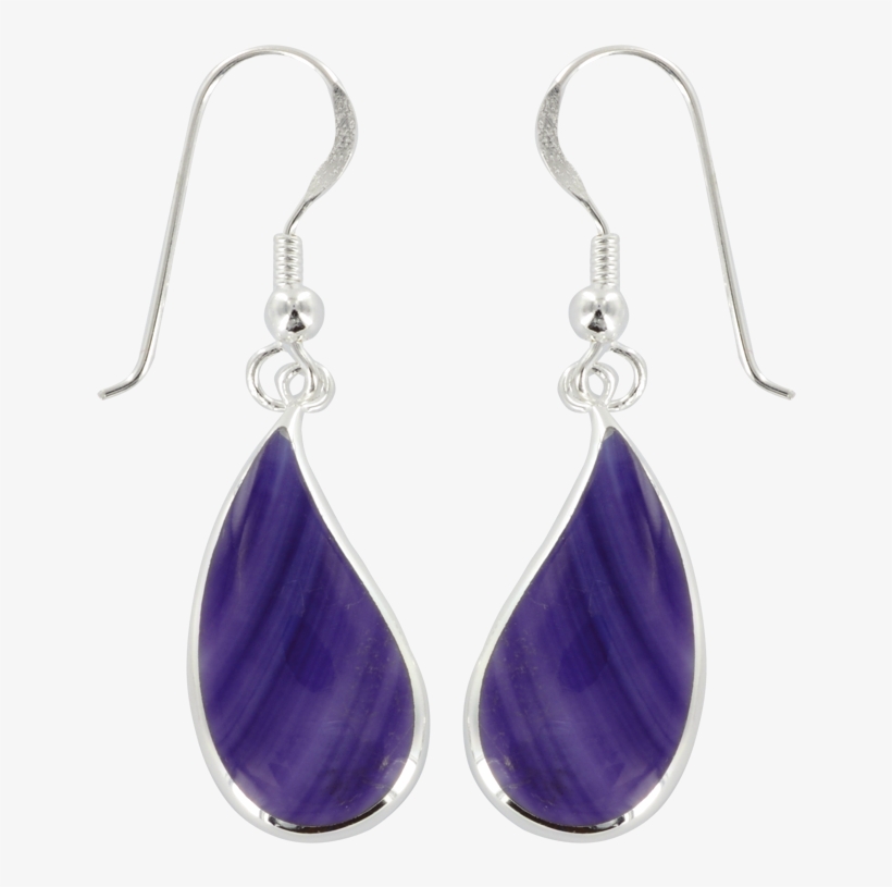 Sil Curve Tear Purple Shell Er - Earrings, transparent png download