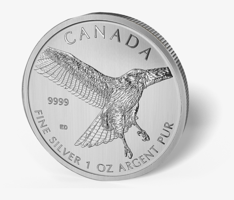 Picture Of 2015 1 Oz Canadian Silver Maple Leaf Red-tail - 2015 Red Tailed Hawk - Uncirculated By Collectors Alliance, transparent png download