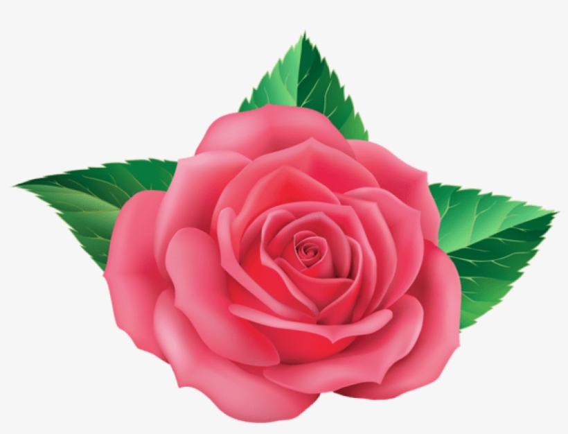 Free Png Rose Png Images Transparent - Rosas Celestes Png, transparent png download
