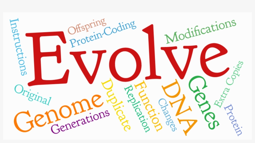 The Human Genome Contains More Than 20,000 Protein-coding - Nih, transparent png download