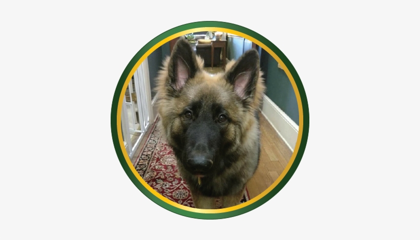 The Sign Up Is Located At The Bottom Of This Page You - Zone, transparent png download