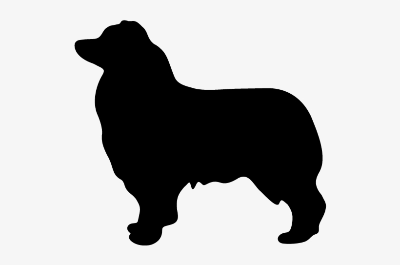 Australian Shepherd Silhouette Clip Art - Australian Shepherd Profile Silhouette, transparent png download