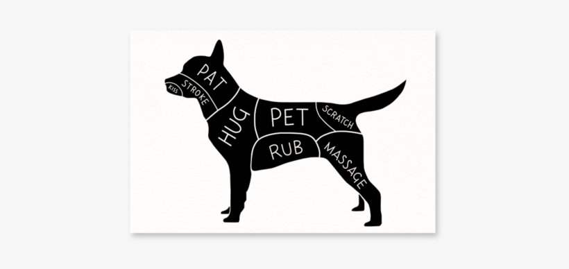 Dog Petting Guide Postcard - German Shepherd Dog, transparent png download