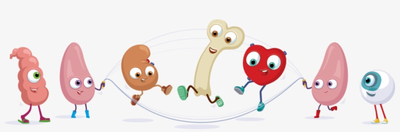 Cartoon Clipart Mammal Clip Art - Cartoon Healthy Transparent, transparent png download