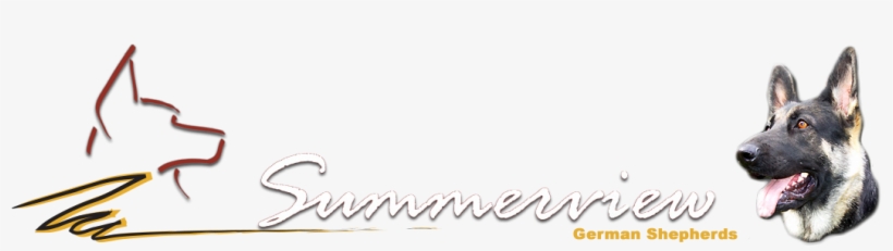 Summerview German Shepherds - Calligraphy, transparent png download