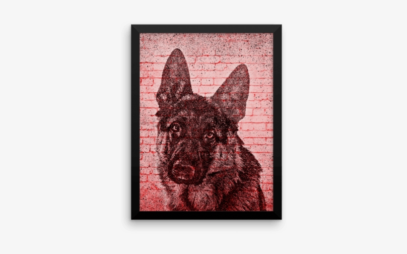 German Shepherd On Wall Framed Poster - Giant Schnauzer, transparent png download
