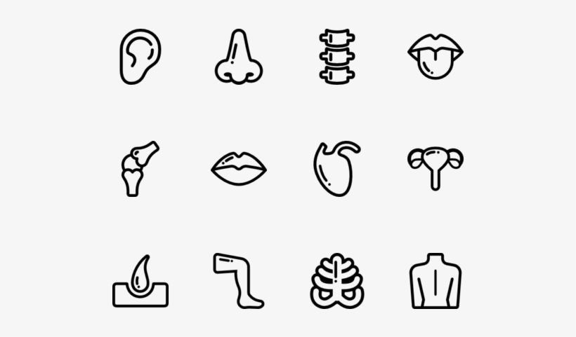 Free Human Outline Png - Portable Network Graphics, transparent png download