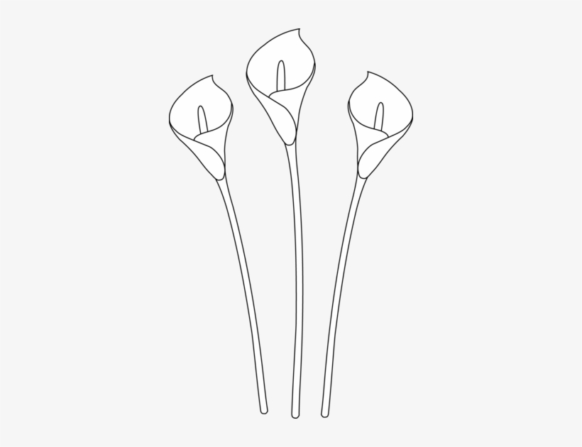 I Searched For A Calla Lily Outline, And This Free - Clip Art, transparent png download