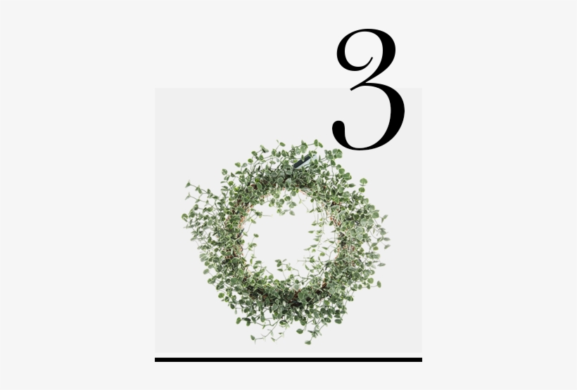 Jpg Free Stock Frosted Eucalyptus Led Gisela Graham - Gisela Graham - Frosted Eucalyptus Led Wreath, transparent png download