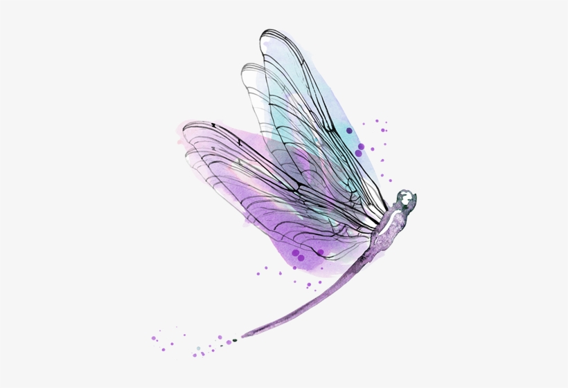 Https - //www - Marytorrey - Com/classes - And - Workshops - Saturday, November 17, 2018 All-day Trance Workshop, transparent png download