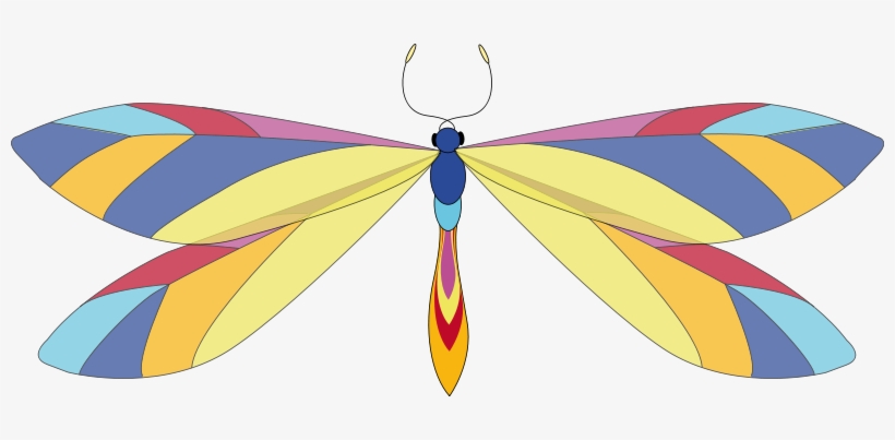 Dragonfly Clipart - Free Clip Art Dragonfly, transparent png download