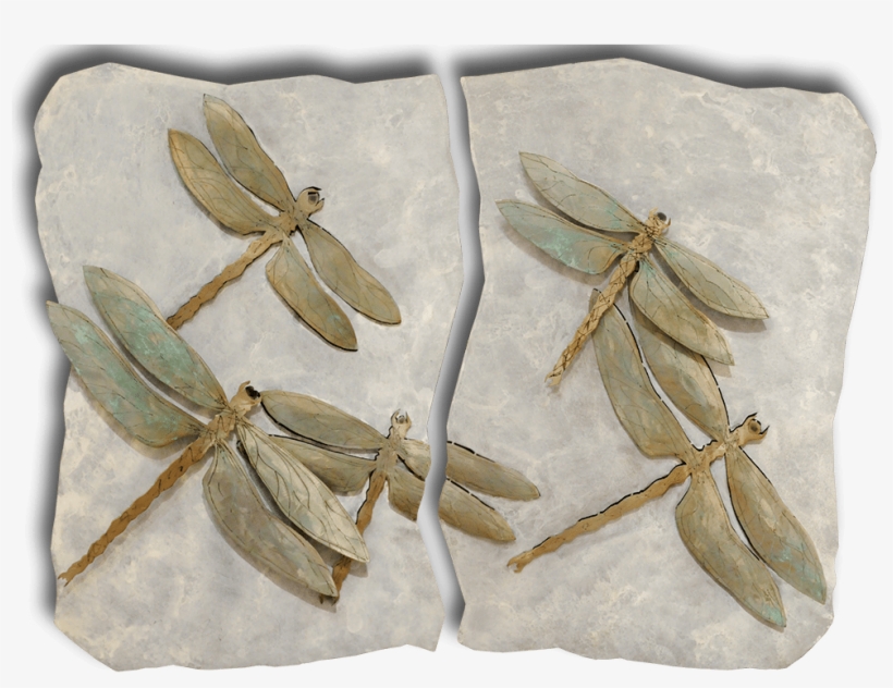 Brent & Luke Lawrence Dragonfly Diptych Exposures International - Diptych, transparent png download