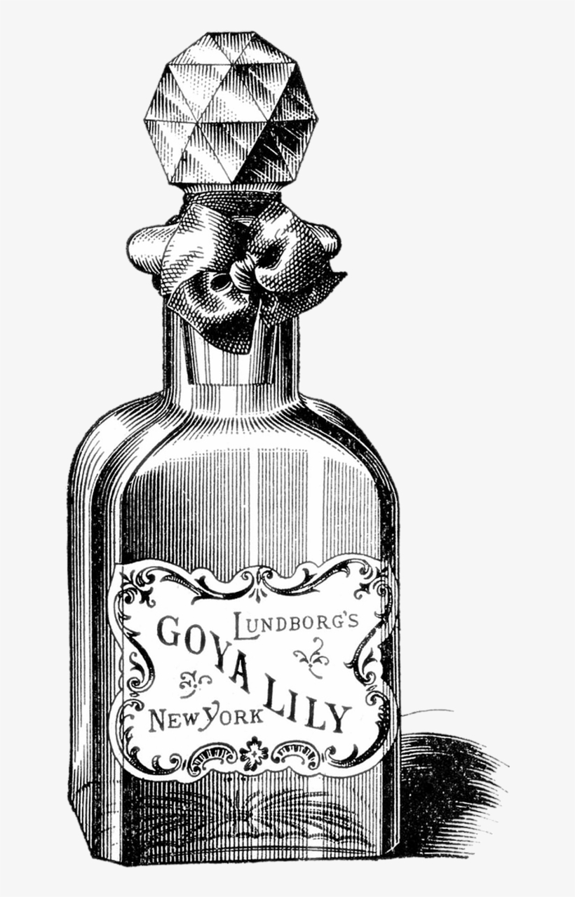 Free Image On Pixabay Victorian Poison Bottles Drawing PNG Image