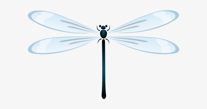 Dragonfly Clipart Transparent, transparent png download