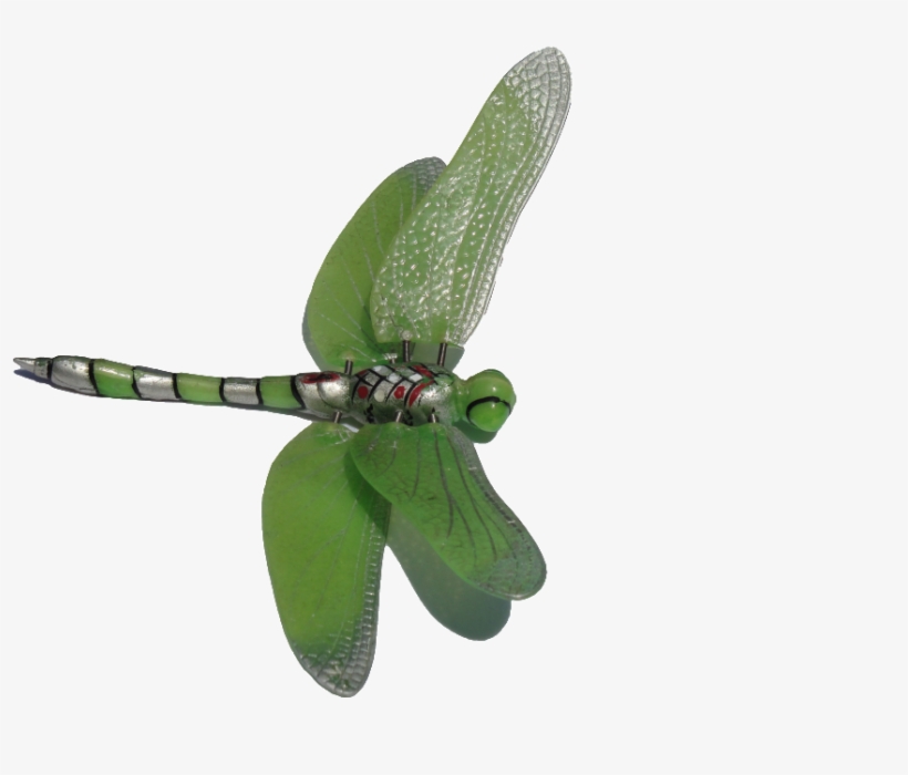 Dragonfly Clipart Transparent Background, transparent png download