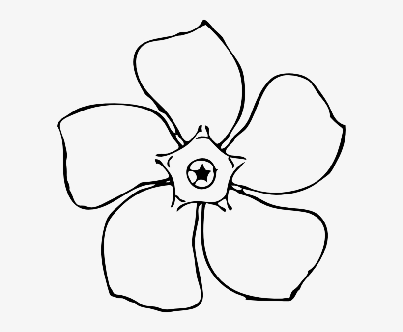 Original Png Clip Art File Periwinkle Flower Top View, transparent png download