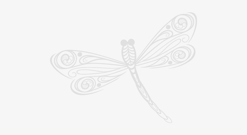 She Is Assertive, Fun And Outgoing - Dragonfly, transparent png download