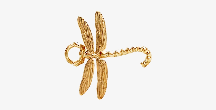 Dragonfly Topper - Dragonfly, transparent png download