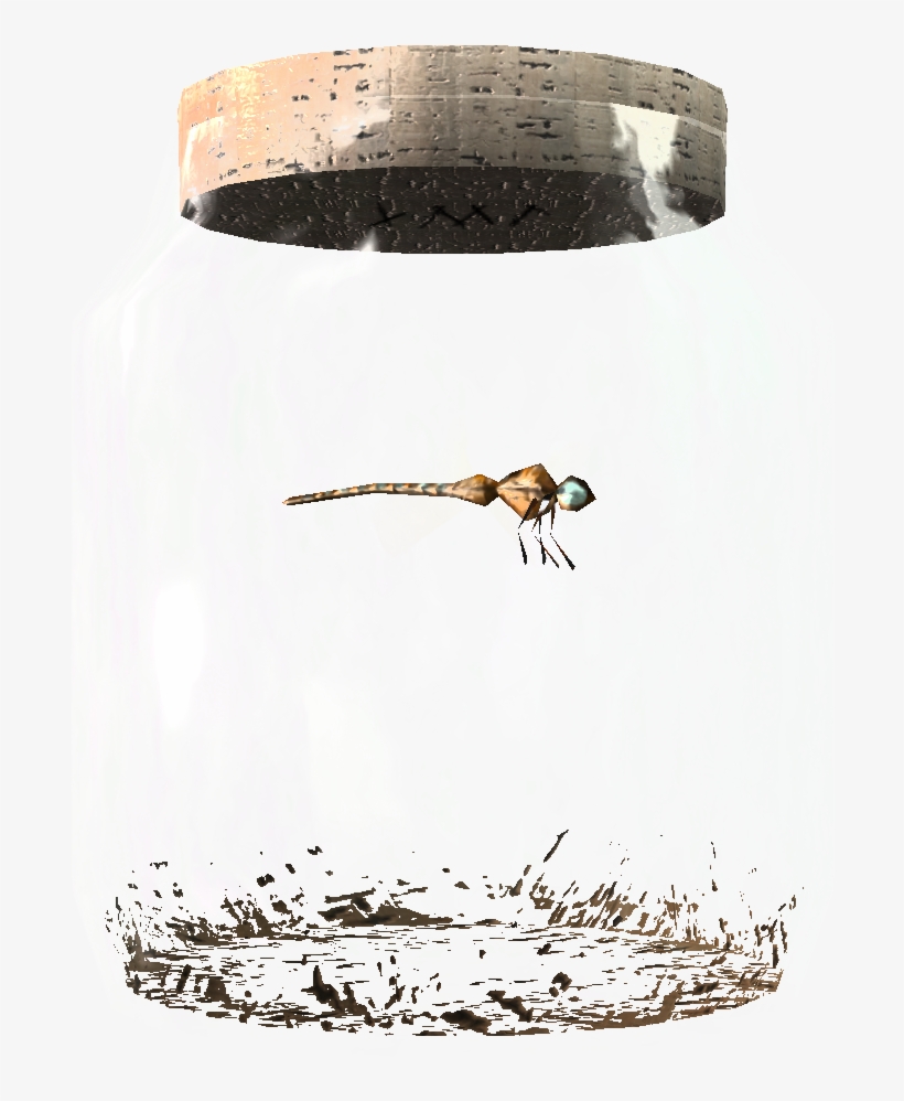 Tesv Dragonfly In A Jar Crop - Biene Im Glas, transparent png download