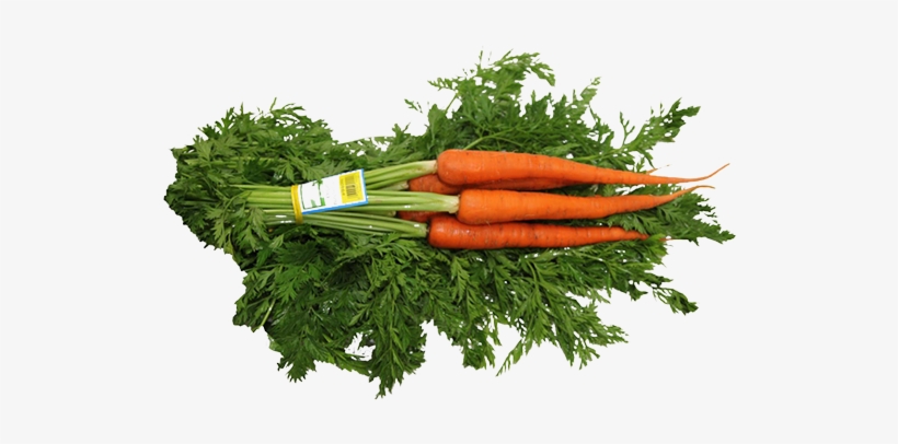 Carrots - Vegetables Top View Png, transparent png download