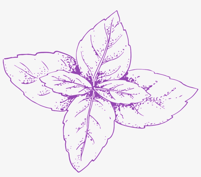 Hand Drawn Vegetables Transparent Vegetables - Sketch, transparent png download