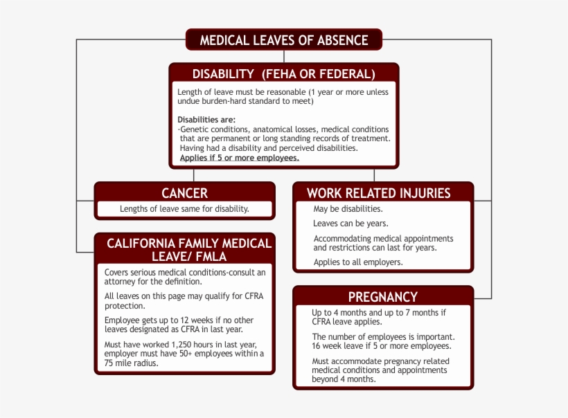 Don't Be Caught In A Bind Assuming Only One Leave Law - Types Of Leaves For Employees, transparent png download