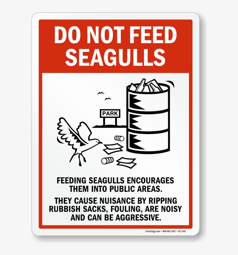 Do Not Feed Seagulls Sign - Dont Feed The Seagulls, transparent png download