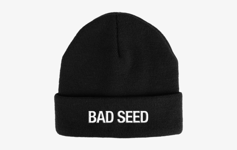 Bad Seed Embroidered Beanie - Czapka - Speedy, transparent png download