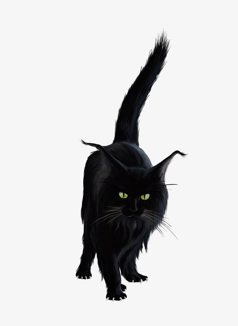 Gatos De Terror Png Clipart Black Cat - Horror Cat Png, transparent png download