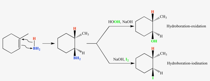 Hydroboration01 - Hydroboration Oxidation Of 1 Methylcyclohexene, transparent png download